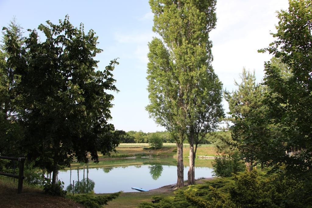 Villa La Clé Des Champs à Biltzheim Chambre photo