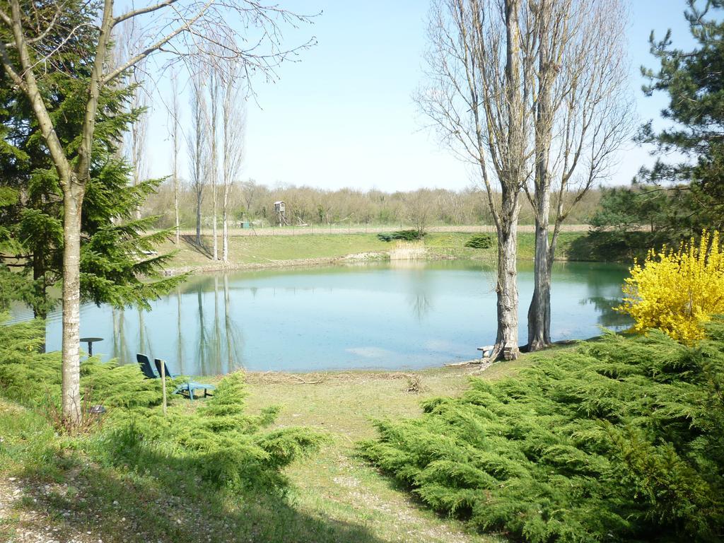Villa La Clé Des Champs à Biltzheim Extérieur photo